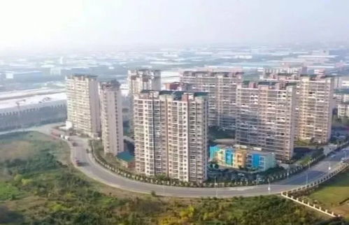 大連新春搶開局 新特產業(yè)加速跑